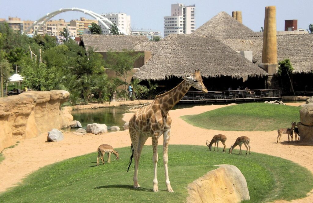 Bioparc Valencia: vista sul ristorante Samburu