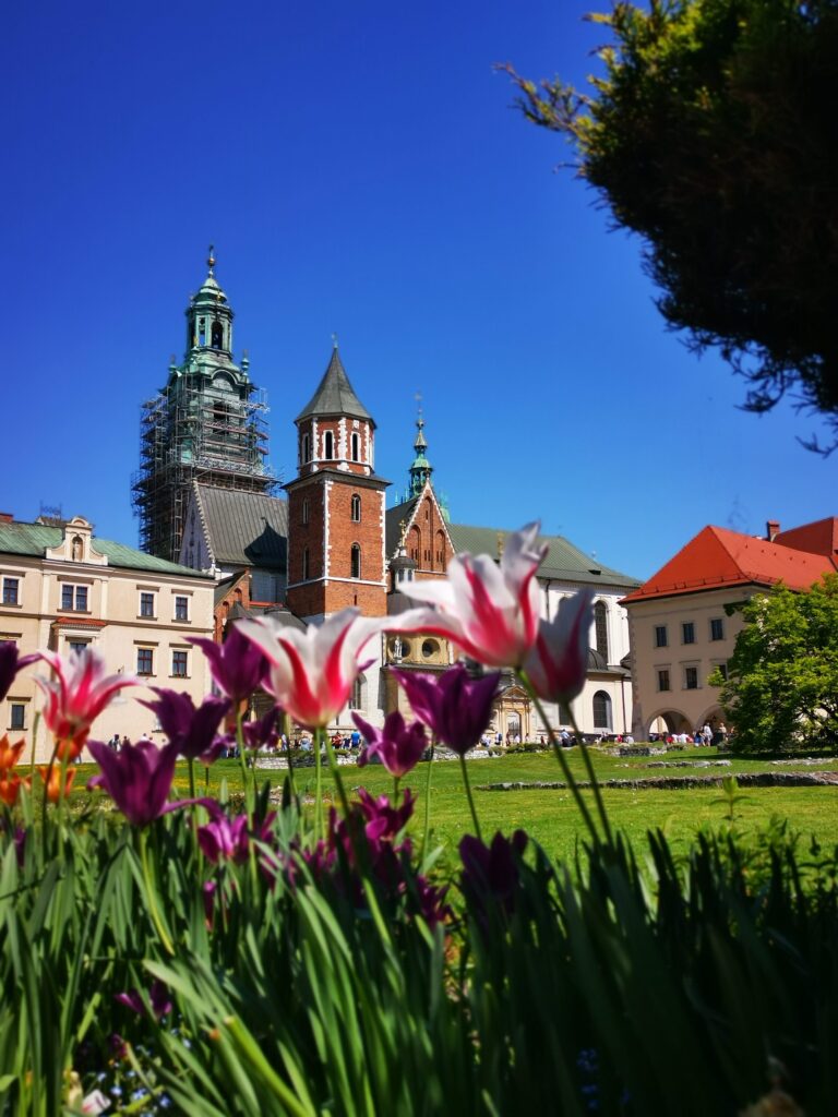 Cosa vedere a Cracovia: cattedrale di Wawel