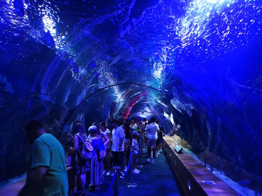 Oceanografico Valencia: tunnel sottomarino