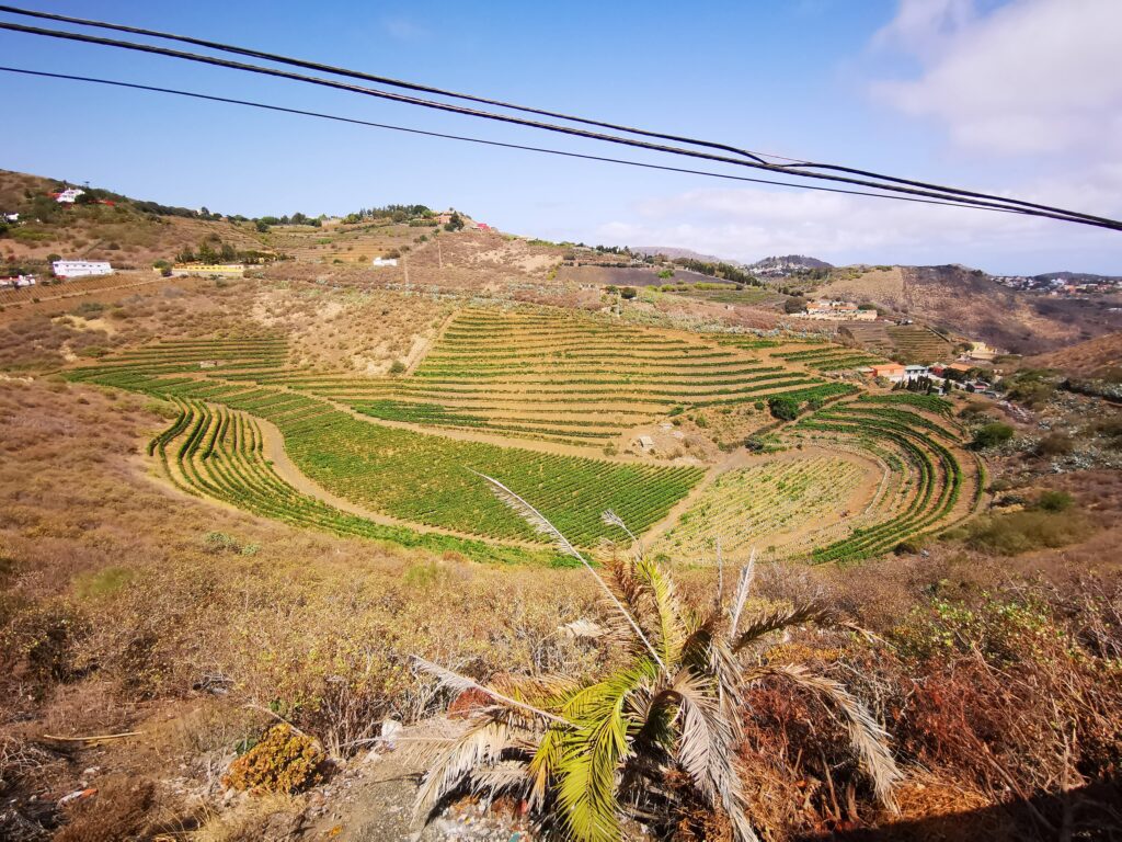 On the road a Gran Canaria: Caldera de Bandama