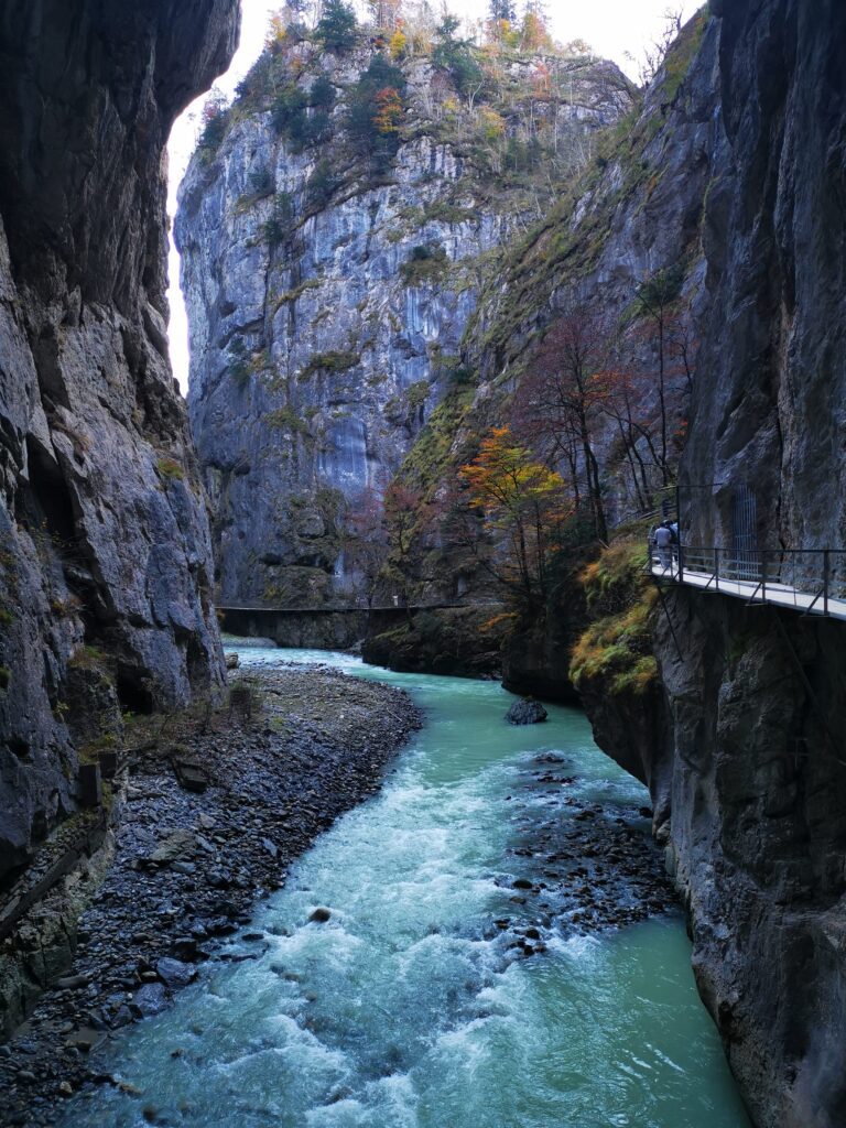 Gola dell'Aare. vista sul fiume Aare